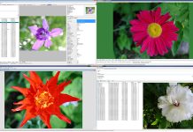 WildBit software – Fast image viewer, with slide show & editor WildBit Viewer