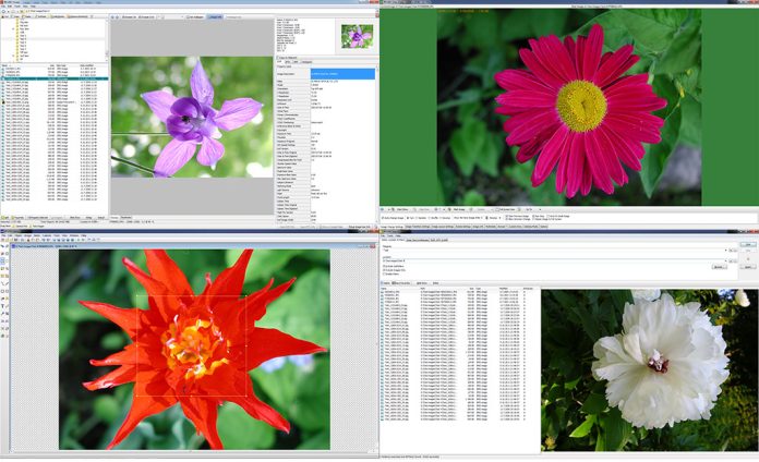 WildBit software – Fast image viewer, with slide show & editor WildBit Viewer