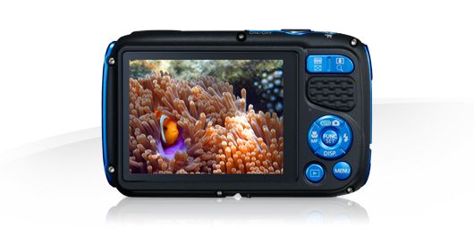 Underwater digital cameras – Capture the perfect photos underwater digital camera
