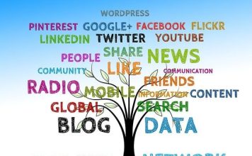 What strategies did you use to create a social media campaign for your small business? Social media campaigns