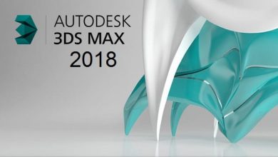 Autodesk  DS MAX