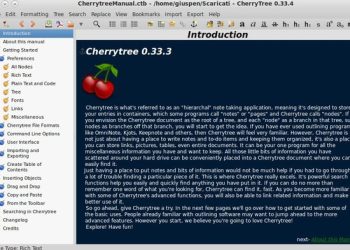 Cherrytree for Windows