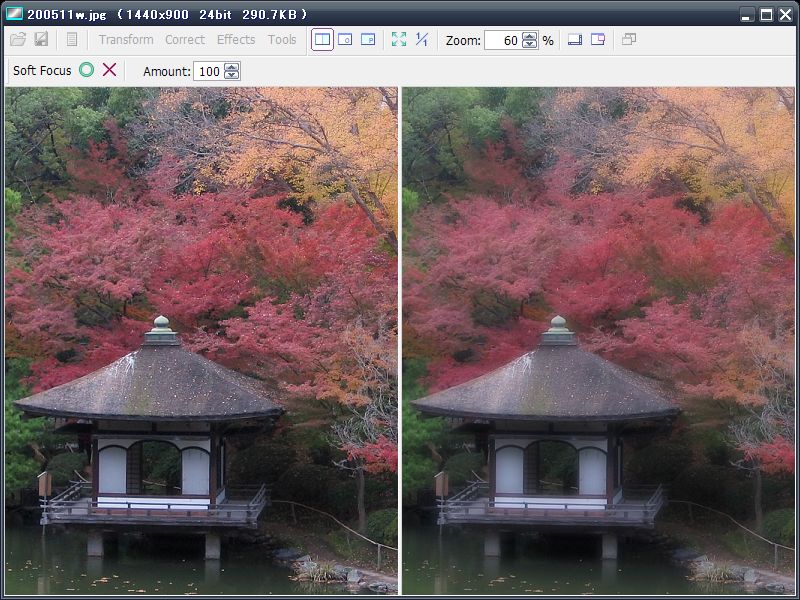 Free image viewer software Vieas with basic editing features