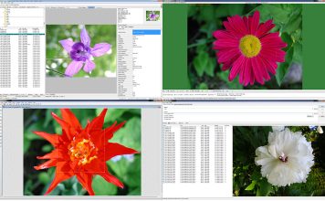 WildBit software – Fast image viewer, with slide show & editor WildBit Viewer