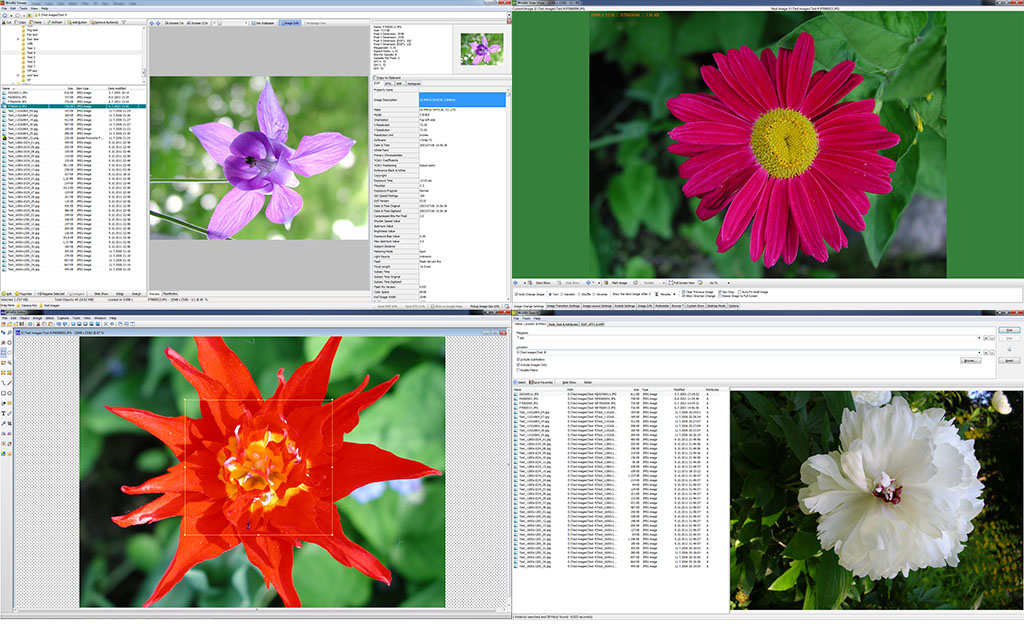 WildBit software – Fast image viewer, with slide show & editor