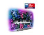 Philips 65OLED935-i