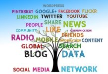 What strategies did you use to create a social media campaign for your small business? Social media campaigns