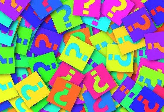 What is a web hosting